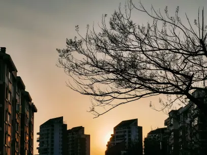 MegaReel Casino Aip Soghluaiste